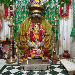 Sri Pallu Brahmani Mata (Brahmani Mata Temple, Pallu)